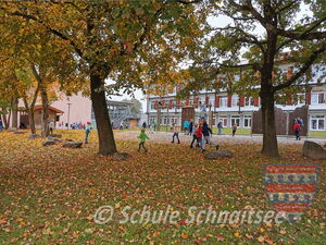 Farbenpracht im Herbst